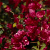 שרשרת אות אנגלית