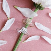 טבעת ''קורל" קושן