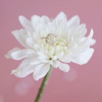 טבעת ''קורל" קושן צהוב