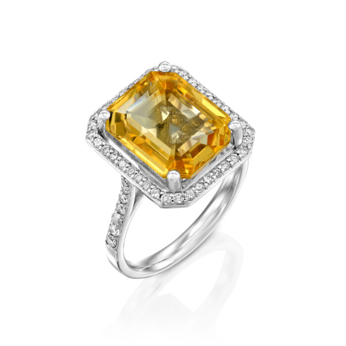 20230220-web res 1500-23