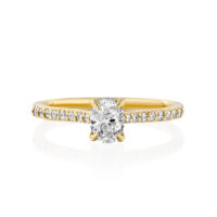 20230711-web res 1500-12