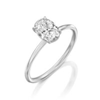 20230730-web res 1500-2