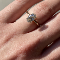 Photo 08-07-2024, 16 00 37 (4)