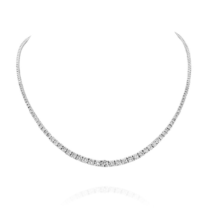 20230827-web res 1500-3