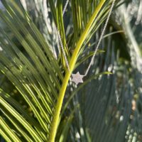 IMG_6273