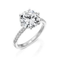 Stacked from 21 images. Method=C (S=1)