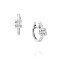 Stacked from 7 images. Method=C (S=1)