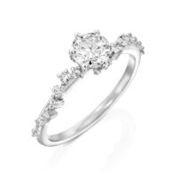 Stacked from 26 images. Method=C (S=1)