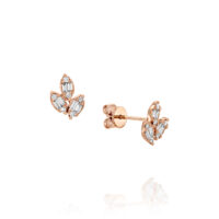 Stacked from 14 images. Method=C (S=1)