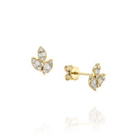 Stacked from 14 images. Method=C (S=1)