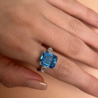 F3689267-35B3-45AE-AC8E-523138DC03A9_1_105_c