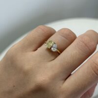 IMG_1745 copy