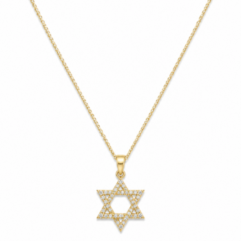 שרשרת מזהב צהוב 14 קראט עם תליון מגן דוד עם יהלומים לגברים